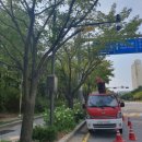 방범CCTV 신규 설치 네이버블로그
