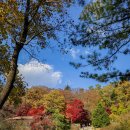 예술공원 수목원 입구 공중화장실 | 안양예술공원 여행, 서울대학교 관악수목원 상시개방 방문 후기(주차장, 가는법, 소요시간)