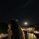 화이트민박 이미지