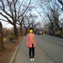 반스완 이미지