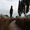 노을공원1 이미지