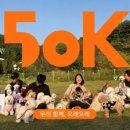 수원반려견유치원 반려견호텔 오십케이 네이버블로그