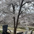 명가인빵 | 천안빵집 몽상가인 블루베리 식빵 새벽 오픈런 후기