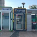 11545-11-99-15 | W5. 부산 양정 갤러리움 웨딩홀 계약 솔직 후기(단독홀, 블랙홀, 그리너리홀)