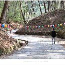 흥령선원지 이미지