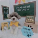 뉴설악펜션 | 3월 회귀를 소망합니다.