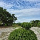 마망펜션 | 강릉 가족여행 숙소로 딱, 정동진 마망펜션 후기