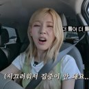 두손두발