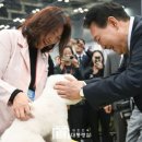 윤메디텍 네이버블로그