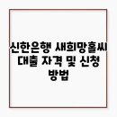 소망자립센터 | 신한은행 새희망홀씨 대출 자격 및 신청 방법