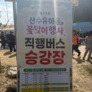 송화2길 | 의성 산수유 꽃축제 둘러본 후기 #나들이 주차 먹거리 부스