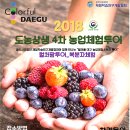 마당발 투어