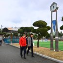 속초여자고등학교 이미지