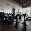 마이애미 휘트니스 헬스 이미지