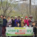 청도군치매안심센터 이미지