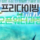 세종프리다이빙