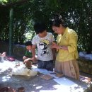 진전초등학교 이미지