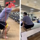 보보스 휘트니스 이미지