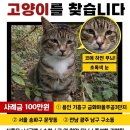 인사동고가구공방 네이버블로그