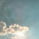 나무쉼터 이미지