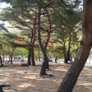 구만동오토캠핑장
