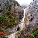 구룡원 Daum카페