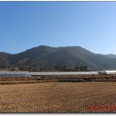 대밭민박 이미지