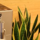 보명한의원 이미지