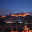 금산-52 뉴시스