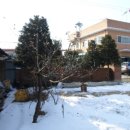 파주법원경기-파주-법원4 이미지