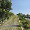 봉오대로556번길 이미지