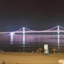 남양토담오리 이미지