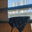 시야약국 이미지