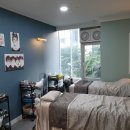 네일노브 이미지