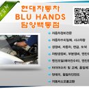 담양백동점현대자동차 이미지