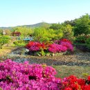 척산온천 이미지