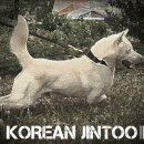 복 Daum카페