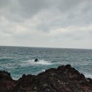 행정사 이상기 사무소 이미지