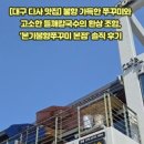 다사 박곡 네이버블로그