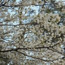 대동면사무소 이미지