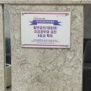 부산 난임병원 리오라 여성의원 3과 초진 및 나팔관조영술 후기