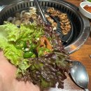 금정역 6번 출구 | 산본막창 맛집 인정 | 금정역 대구생막창이야기 막창 막국수 조합 후기