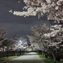 미니스톱 난지2점 이미지