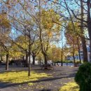 PARK 행정사사무소 이미지