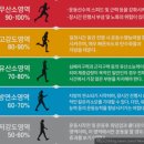 온앤온짐 이미지