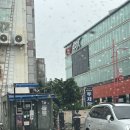 정인여행사주