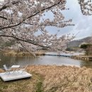 화랑P&D