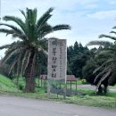 여왕목장 | 성산승마 목장카페 밭디 승마체험 가능한 서귀포 카페 제주도 이색데이트 추천