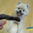 WALWAL(왈왈) 네이버블로그