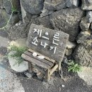 [제주도 숙소/제주도 동쪽 숙소]제주도 동쪽 한동리 조용한 숙소 &#39;굿나잇플리즈&#39; 후기